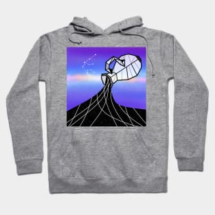 Aquarius zodiac sign Hoodie